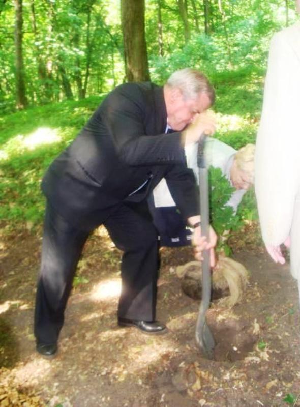 Dąb Pamięci - Fot. 3 Dąb pamięci